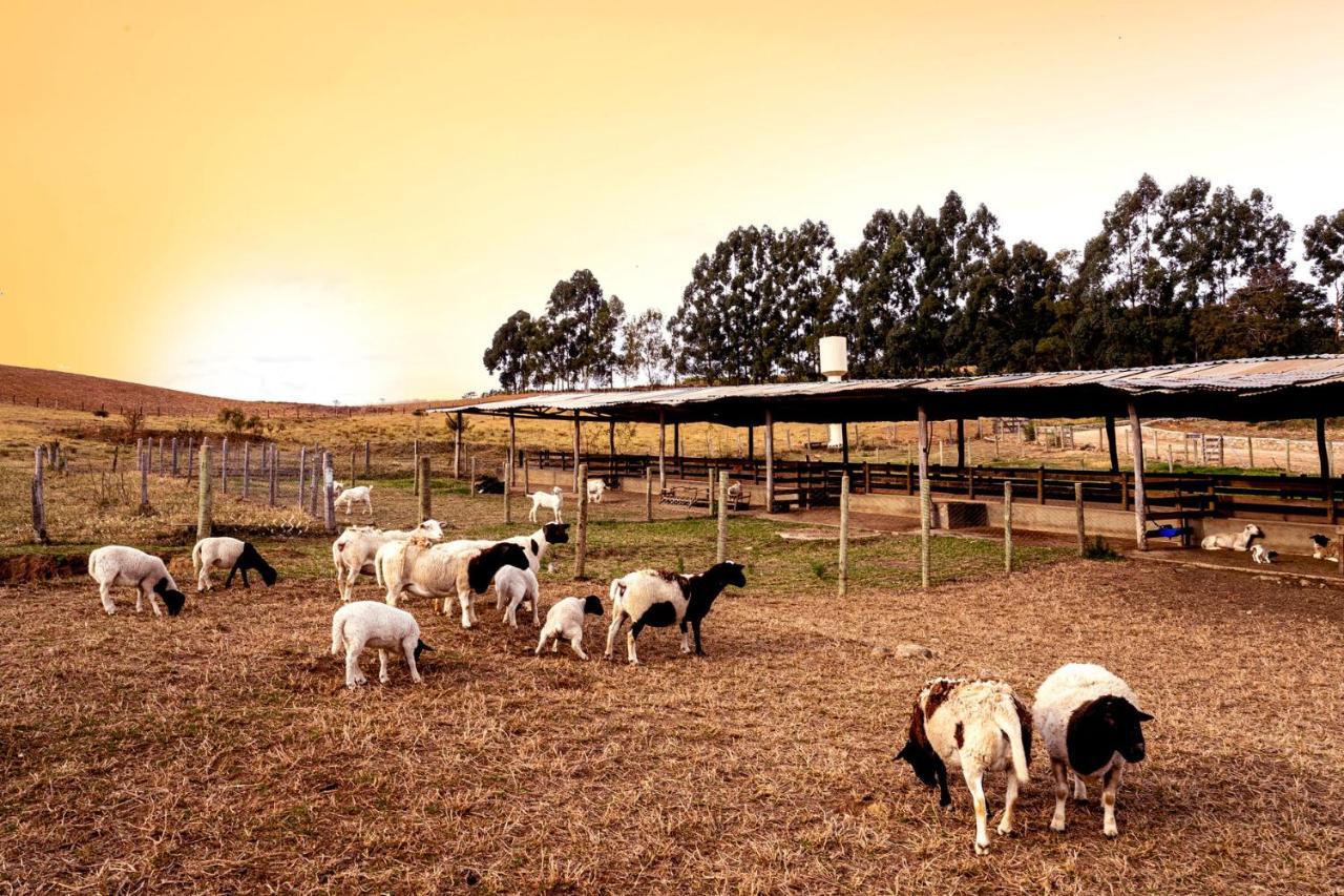 Hotel Fazenda Colina Dos Sonhos Socorro  Exteriér fotografie
